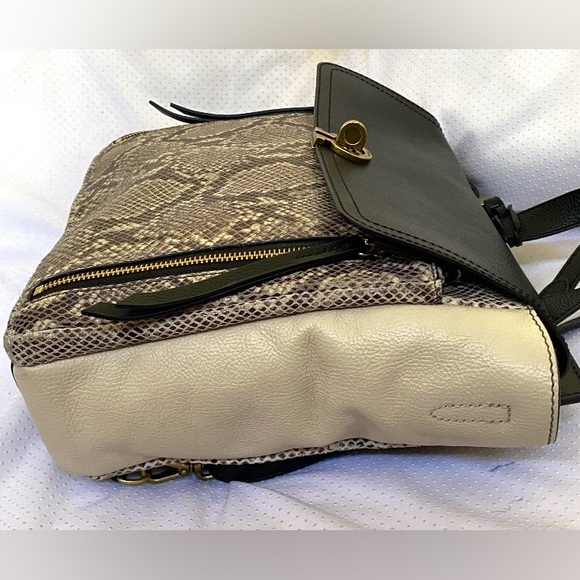 Fossil Amelia backpack main image 13